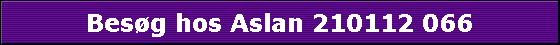 Besg hos Aslan 210112 066