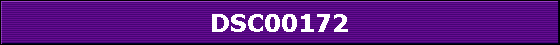 DSC00172