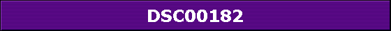 DSC00182