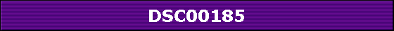 DSC00185