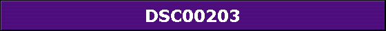 DSC00203