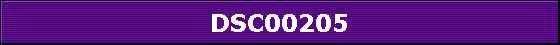 DSC00205