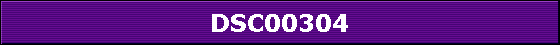 DSC00304