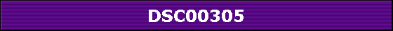 DSC00305