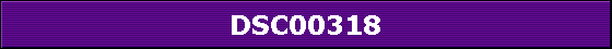 DSC00318