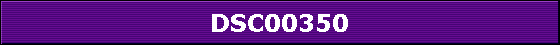 DSC00350
