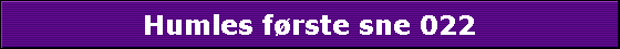 Humles første sne 022
