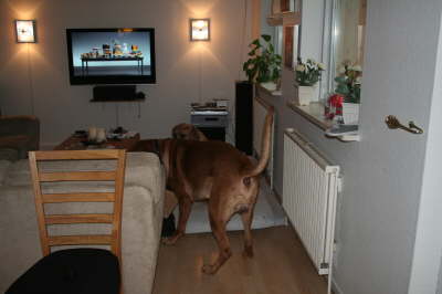Besøg hos Aslan 210112 074