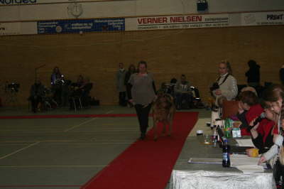 Skue 083